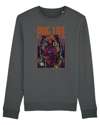 Pug Life Anthracite