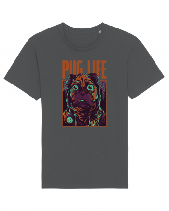 Pug Life Anthracite