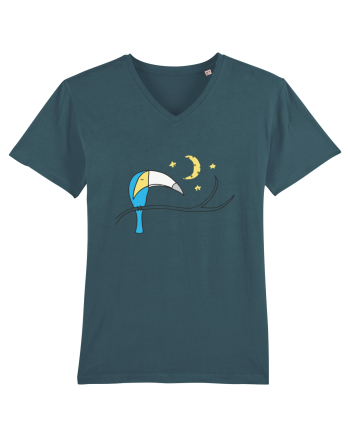 Tucan Stargazer