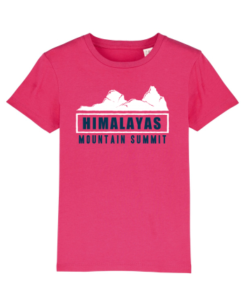 Himalayas Mountain Summit Raspberry