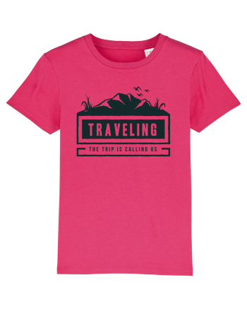 The Trip is Calling us Raspberry