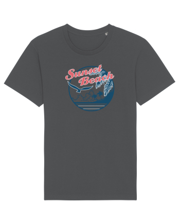 Sunset Beach Eagle Anthracite
