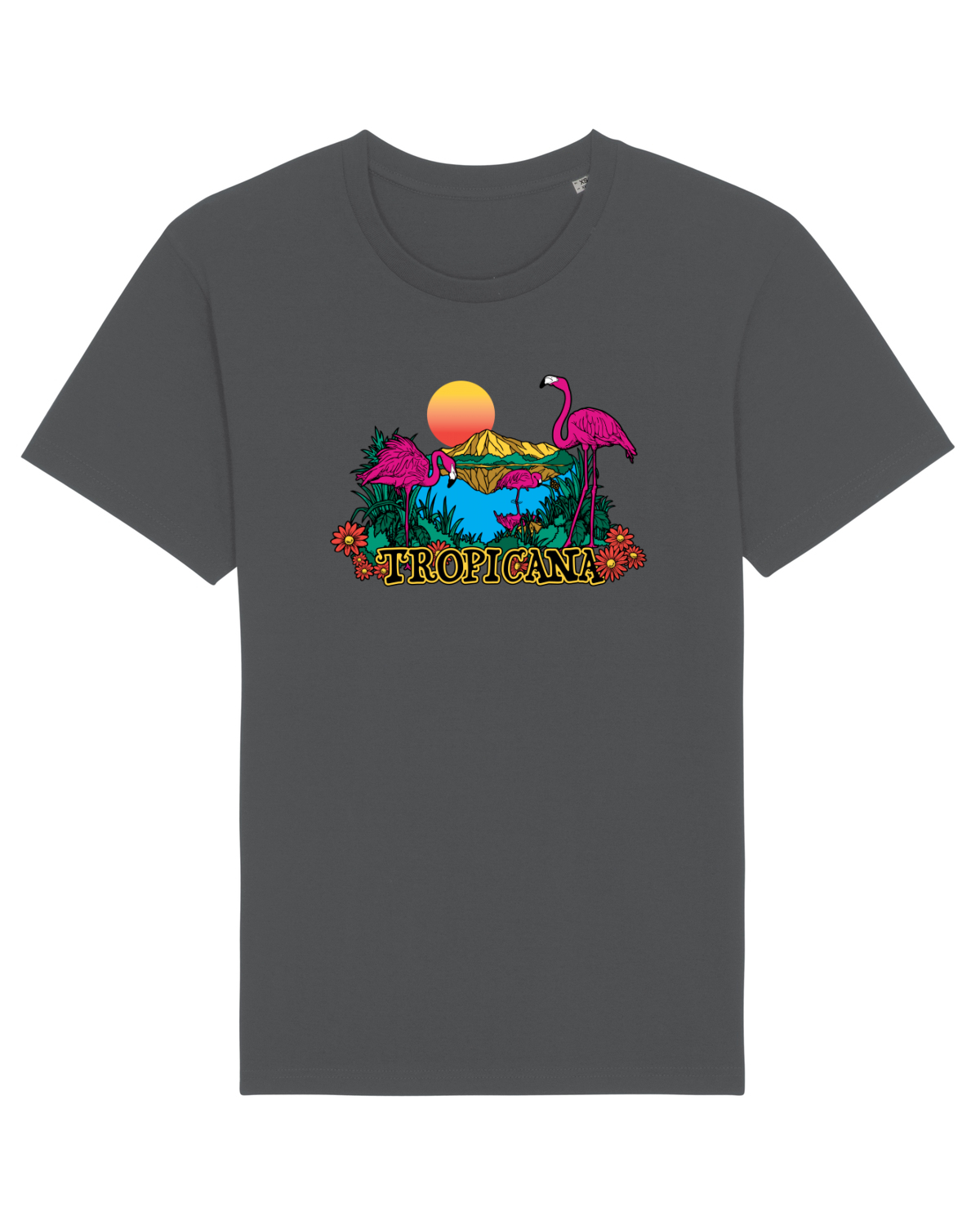 Tricou mânecă scurtă Unisex Rocker Anthracite
