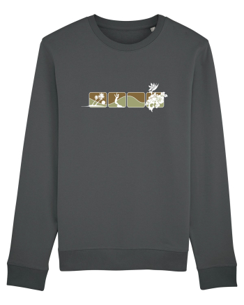 Island Surf Sport Anthracite