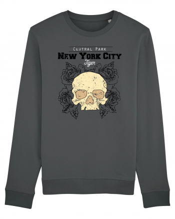 New York City Skull Anthracite