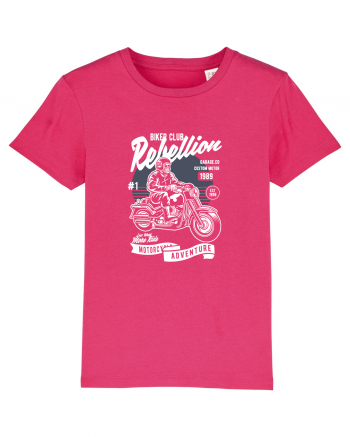 Skull Motorbiker Raspberry