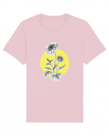 Floarea Soarelui Galben Cotton Pink