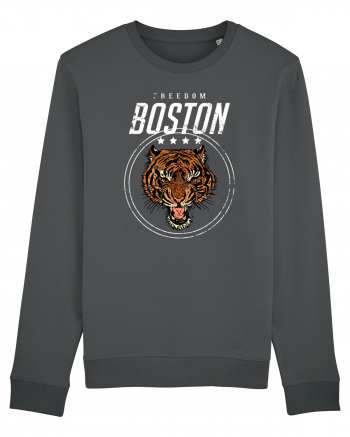 Freedom Boston Tiger Anthracite