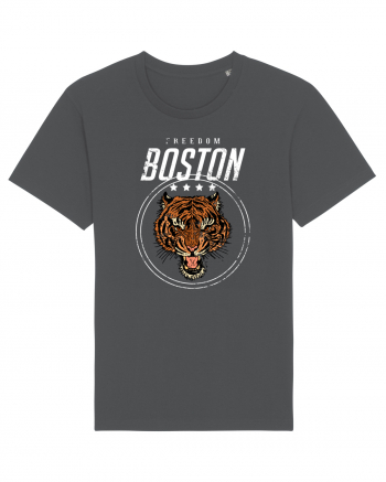 Freedom Boston Tiger Anthracite