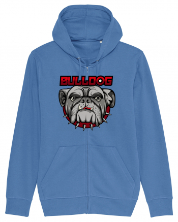 Bulldog Bright Blue