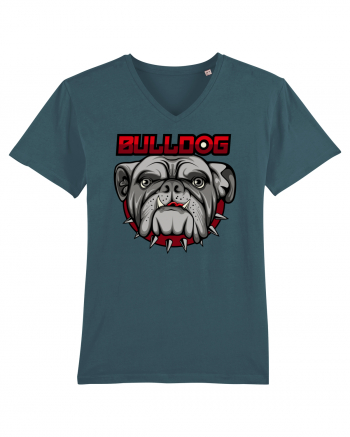 Bulldog Stargazer