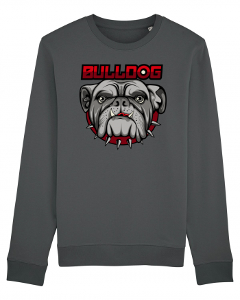 Bulldog Anthracite