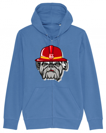 Bulldog Bright Blue