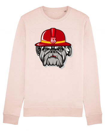 Bulldog Candy Pink