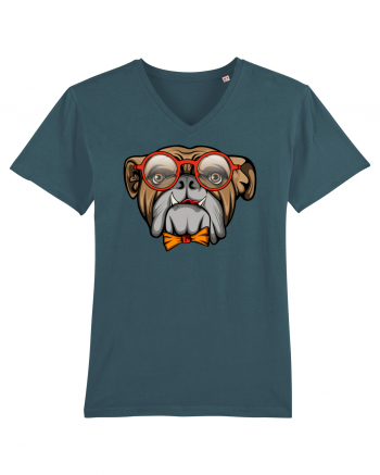 Hipster Bulldog Stargazer