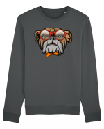 Hipster Bulldog Bluză mânecă lungă Unisex Rise