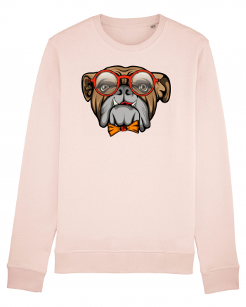 Hipster Bulldog Candy Pink