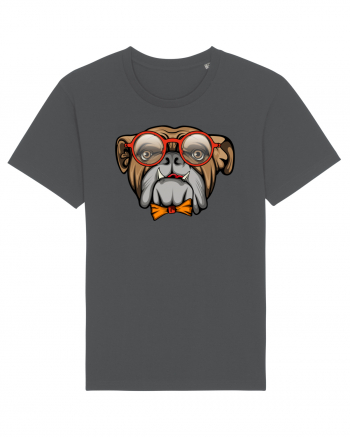 Hipster Bulldog Anthracite