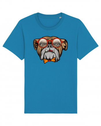 Hipster Bulldog Azur