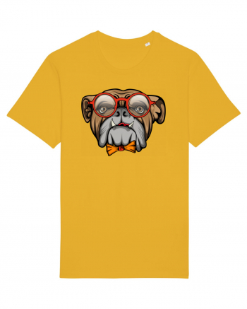 Hipster Bulldog Spectra Yellow