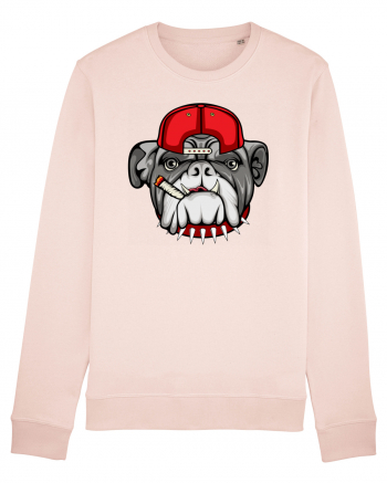 Gangster Bulldog Candy Pink