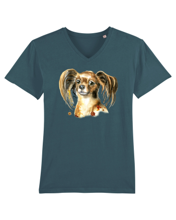 Cute Dog Stargazer