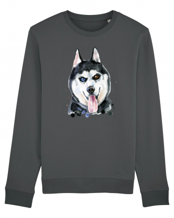 Husky Painting Anthracite