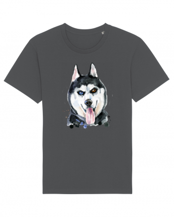 Husky Painting Anthracite