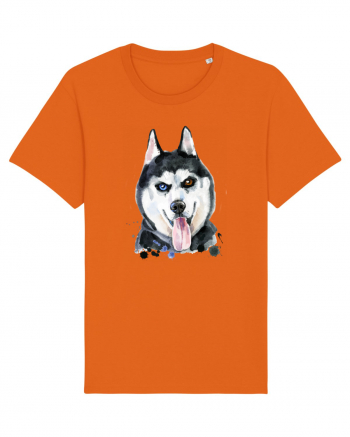 Husky Painting Bright Orange