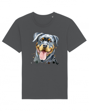 Rottweiler Painting Anthracite