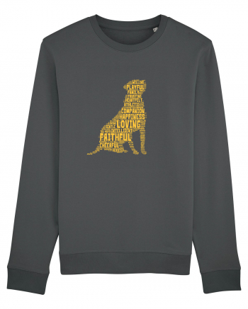 Dog Love Anthracite