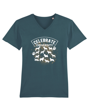 Celebrate Diversity Stargazer