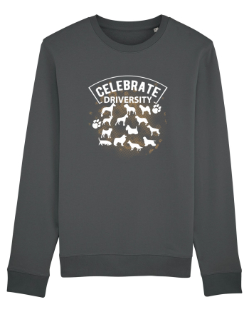 Celebrate Diversity Anthracite
