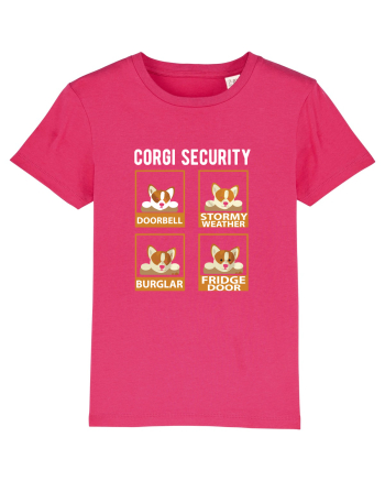 Corgy Security Raspberry