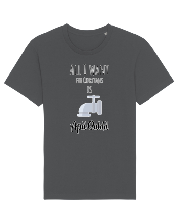 All I want for christmas is apa calda Anthracite