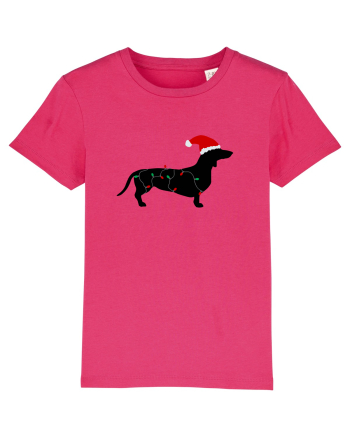 Santa Dog Raspberry