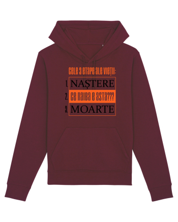 Cele 3 etape ale vietii Burgundy