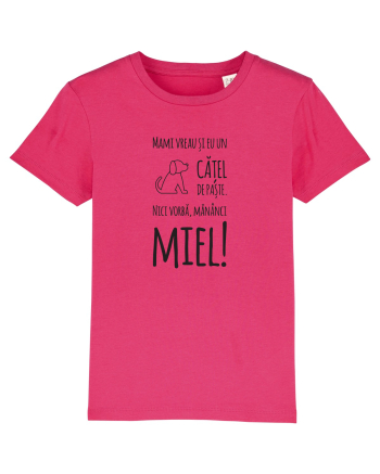 mielu Raspberry