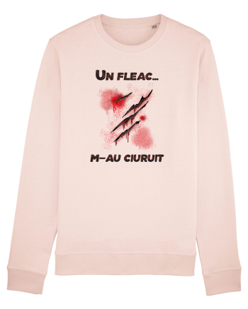 cu desene de Halloween - Un fleac m-au ciuruit Candy Pink