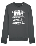 Angajatul Perfect Bluză mânecă lungă Unisex Rise
