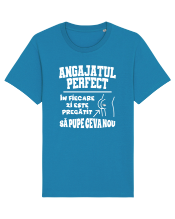 Angajatul Perfect Azur