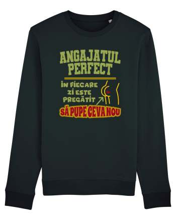 Angajatul Perfect Black