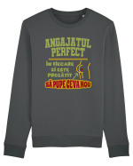 Angajatul Perfect Bluză mânecă lungă Unisex Rise