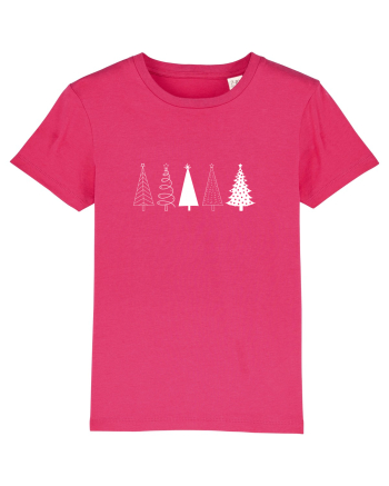 Christmas Tree Raspberry