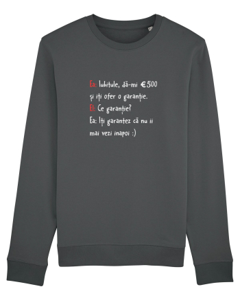 Garantie Anthracite