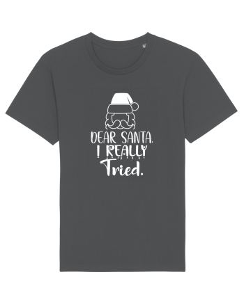 Dear Santa I Really Tried Anthracite