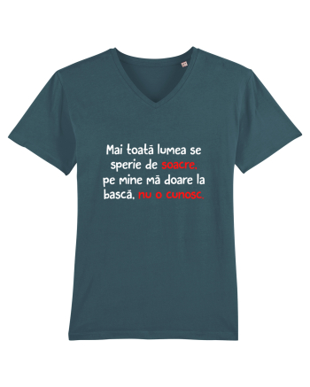 Nu îmi cunosc soacra Stargazer