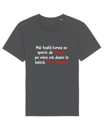 Nu îmi cunosc soacra Anthracite