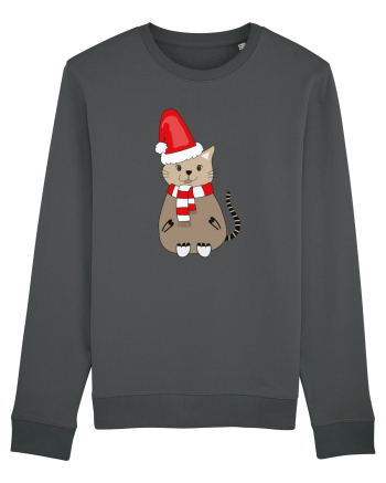 Winter Trends Anthracite