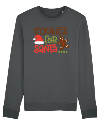 Cookies for Santa Anthracite